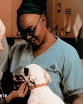 Pet Hospital Columbia